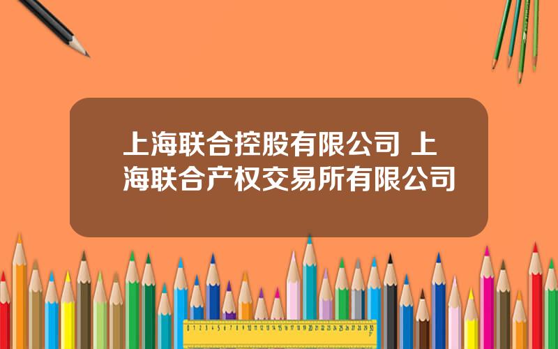 上海联合控股有限公司 上海联合产权交易所有限公司